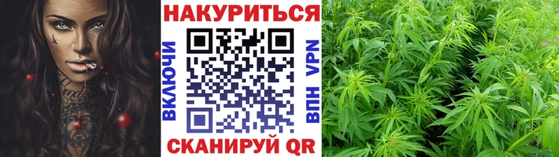 купить наркотик  Сафоново  МАРИХУАНА марихуана 